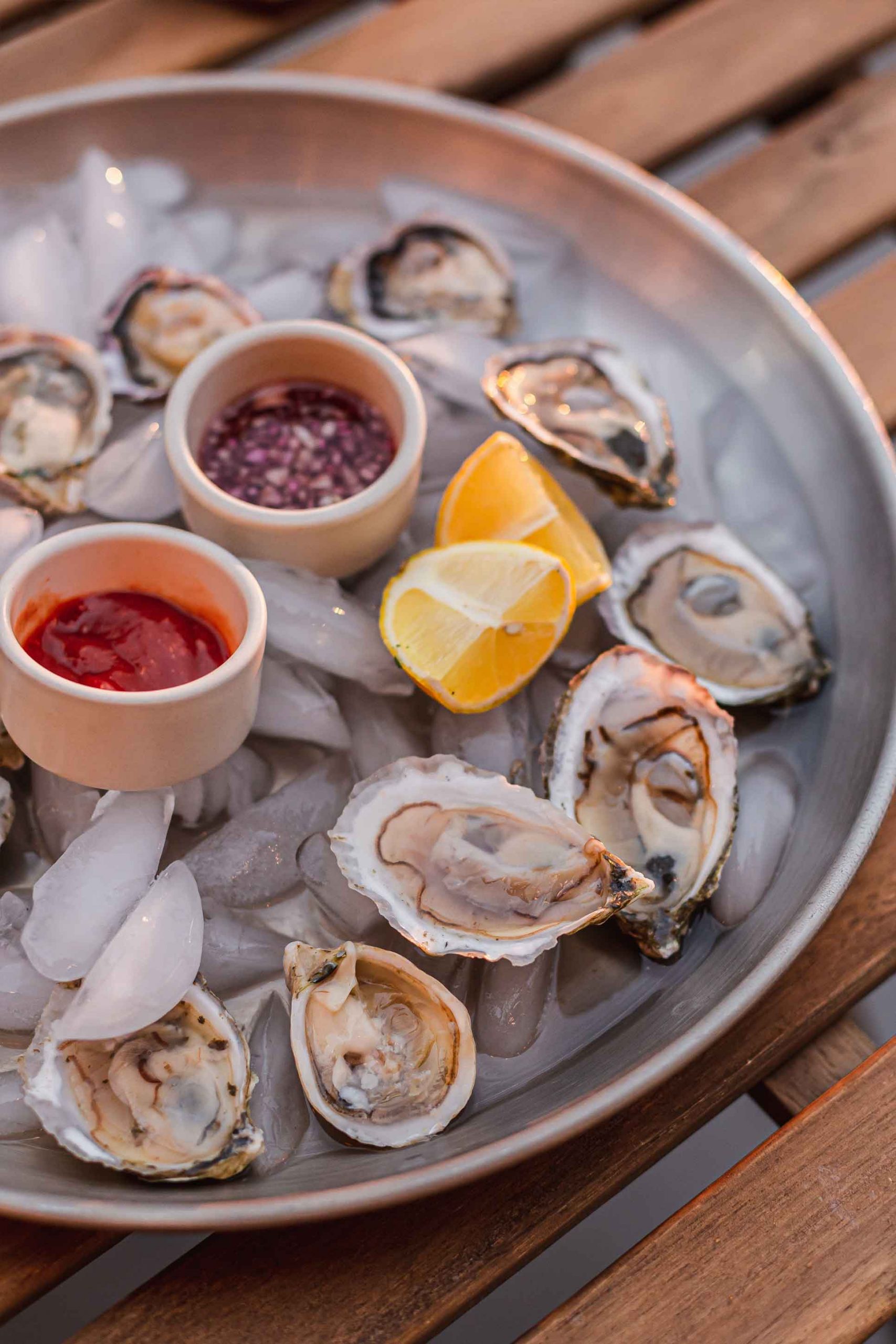 pacific-oyster