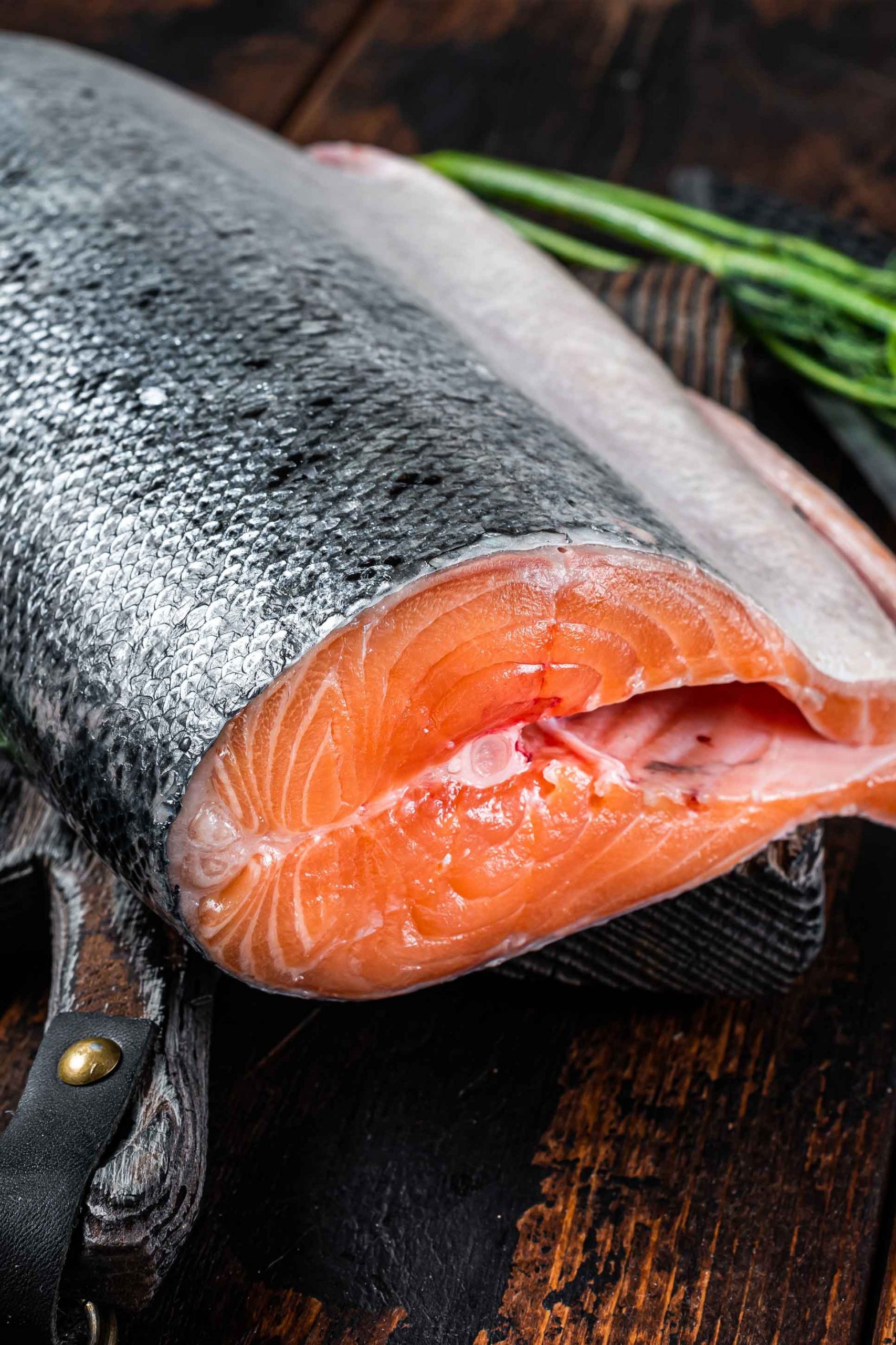 salmon-fillet