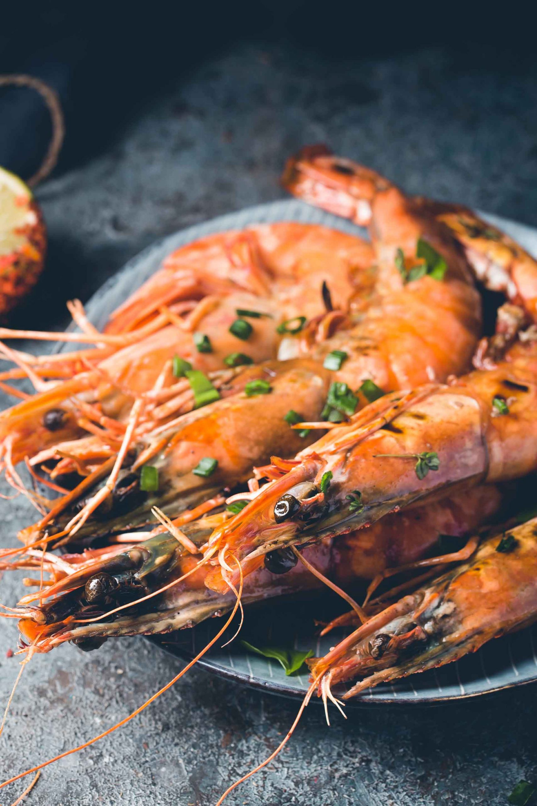 tiger-prawn